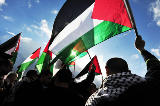 Pluto Press Palestine